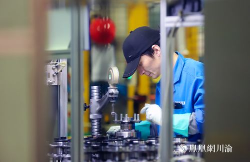 長江軸承 以技術(shù)硬實力撬動全球市場縫隙，打造國際化品牌新標(biāo)桿