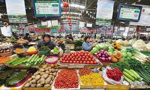 戰(zhàn)疫情穩(wěn)民生 楊凌多措并舉保障日用品批發(fā)市場(chǎng)供應(yīng)